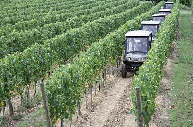 Vineyards tour with Electric Jeep with wine tasting - What arrives at the tasting table