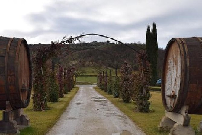 Vineyards tour with Electric Jeep with wine tasting - A castle, vineyards, and an old patch of vines
