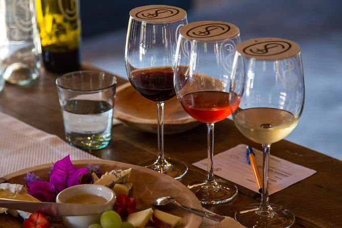 Vineyards, Wine Tasting and Pairing in San Miguel - Leaving San Miguel for the vineyards