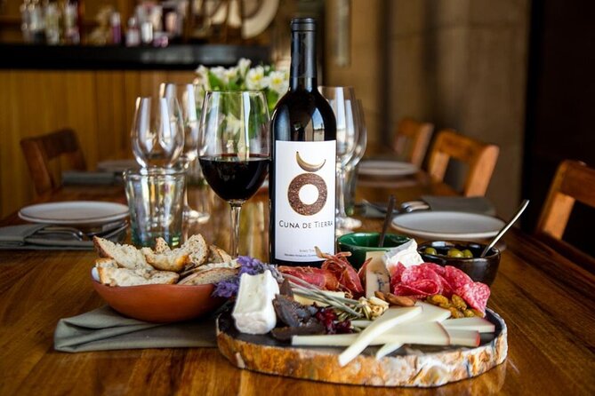Vineyards, Wine Tasting and Pairing in San Miguel - Second stop: the family vineyard and the work behind the bottle