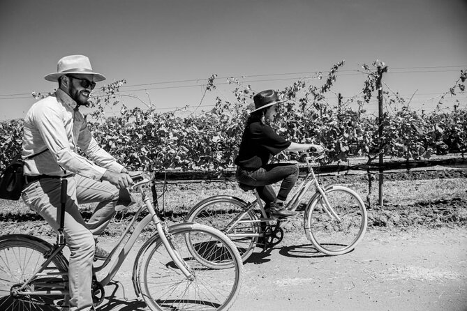 Vineyards, Wine Tasting and Pairing in San Miguel - Six wines, two cheese boards, and a useful lesson in pairing