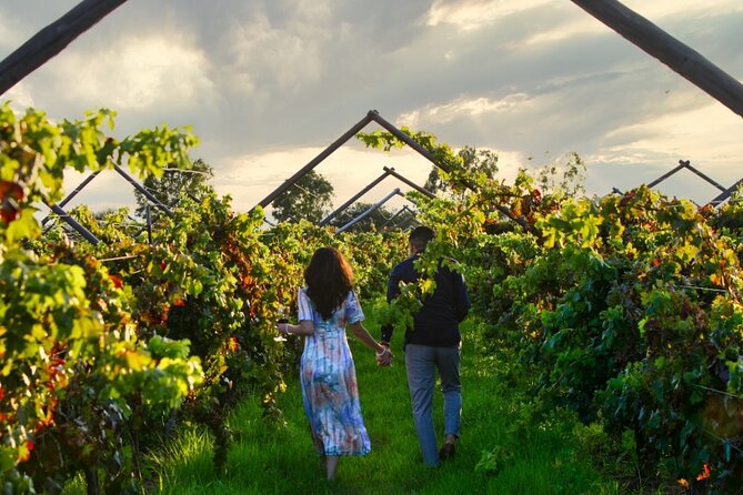 Vineyards, Wine Tasting and Pairing in San Miguel - Practical details that affect your day