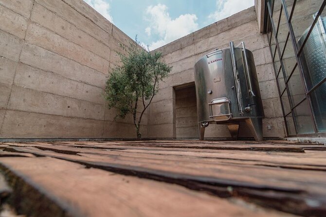 Vineyards, Wine Tasting and Pairing in San Miguel - First stop: a polished estate with wine, lavender, and olive oil