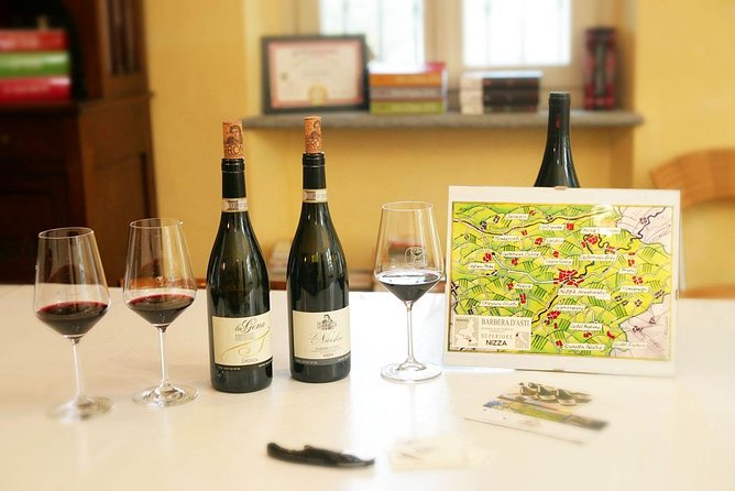 Visit among vineyards and wine cellar with wine tasting in Nizza Monferrato - Starting among the vines at La Gironda