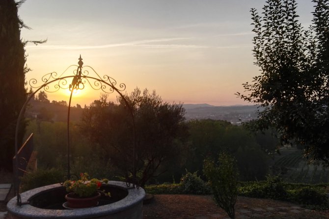 Visit among vineyards and wine cellar with wine tasting in Nizza Monferrato - The tasting room puts the lesson in your glass