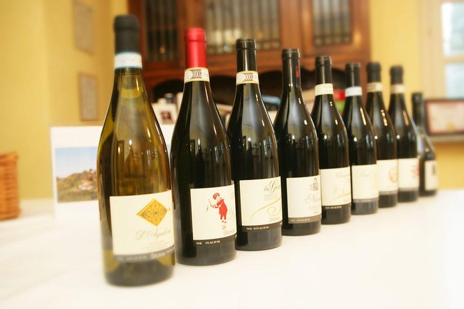 Visit among vineyards and wine cellar with wine tasting in Nizza Monferrato - Timing, access, and the practical details