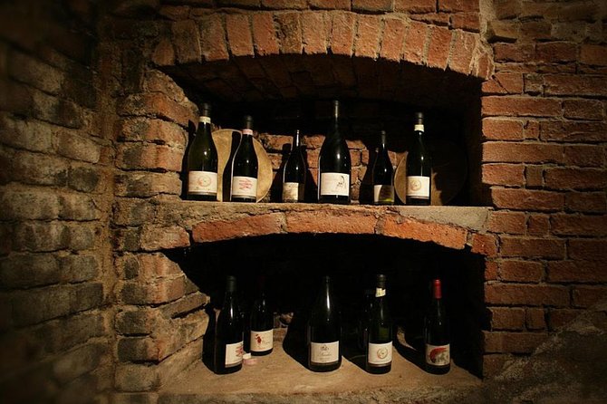 Visit among vineyards and wine cellar with wine tasting in Nizza Monferrato - Who will enjoy La Gironda most
