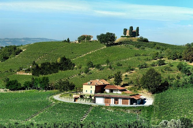 Visit among vineyards and wine cellar with wine tasting in Nizza Monferrato - Should you book this wine visit?