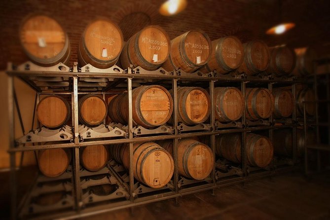 Visit among vineyards and wine cellar with wine tasting in Nizza Monferrato - Summer brings the glasses into the garden