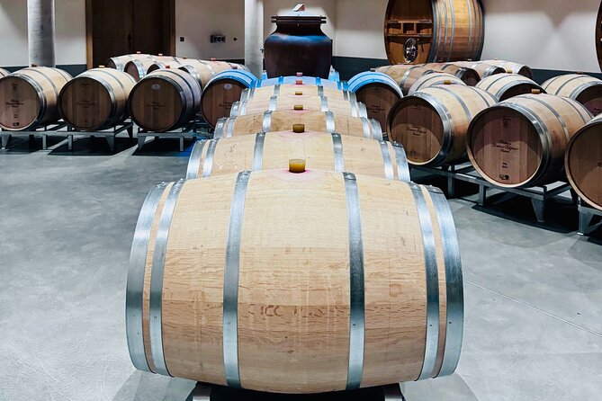 Visit Saint-Emilion and Pomerol:Vineyards, lunch and tastings included - Seeing winemaking at the vineyard