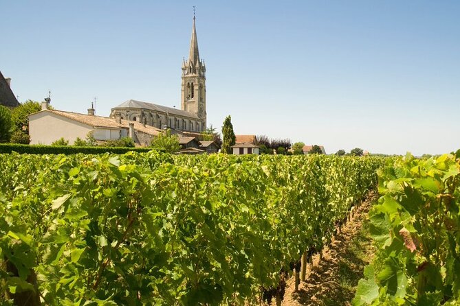 Visit Saint-Emilion and Pomerol:Vineyards, lunch and tastings included - Lunch at a château