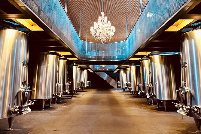 Visit Saint-Emilion and Pomerol:Vineyards, lunch and tastings included - Paola and the value of a small group