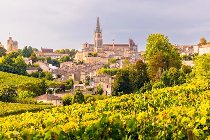 Visit Saint-Emilion and Pomerol:Vineyards, lunch and tastings included - Is $174.53 a fair price?