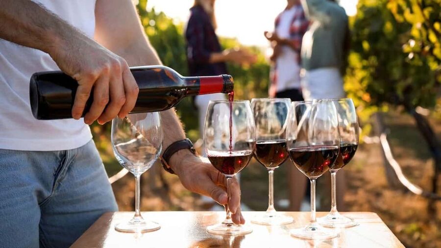 Visit the vineyards and discover Bandol wines - Why Bandol makes a good short wine visit