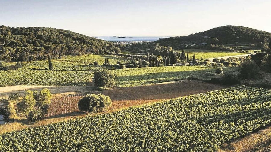 Visit the vineyards and discover Bandol wines - The ride from Toulon, Bandol, or the coast
