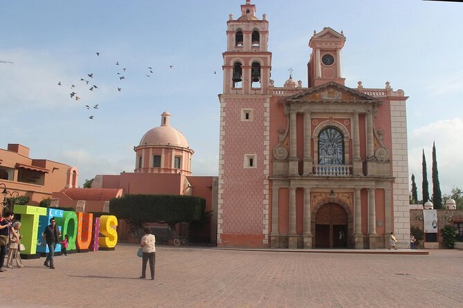 Visit to 3 Vineyards in the Region, departing from Querétaro - Viña TX and the art of pairing cheese with wine