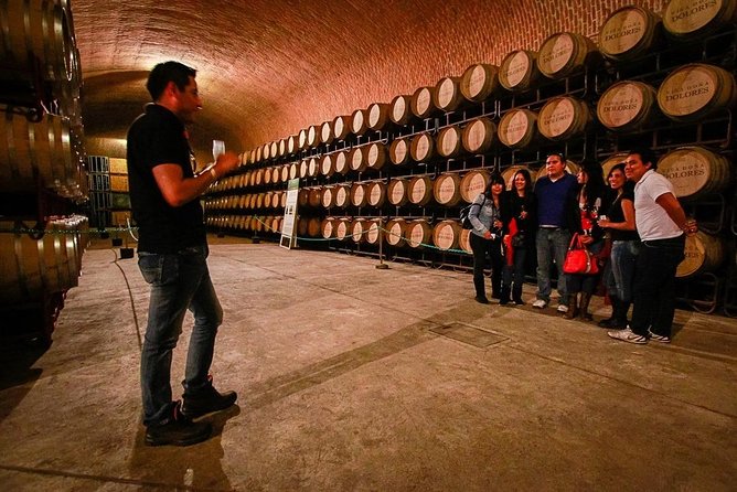 Visit to 3 Vineyards in the Region, departing from Querétaro - The group size, vehicle, and pace