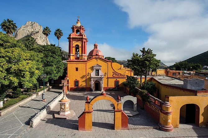Visit to 3 Vineyards in the Region, departing from Querétaro - Who will enjoy this wine tour most