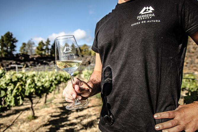Visit to Arafo Mountain Vineyard and Organic Wine Tasting - Meeting in Arafo and riding up to the vines