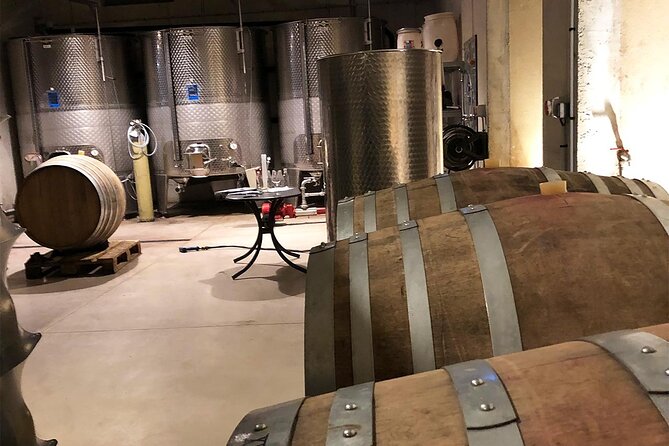 Visit to the Faugères Vineyards with Picnic from Béziers - Timing, weather, and who should book