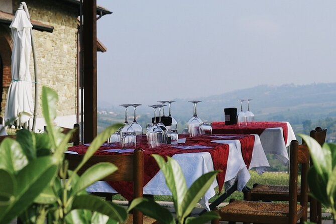 Visit winery and vineyards, tasting 4 wines with 3 matching dishes - Key Points
