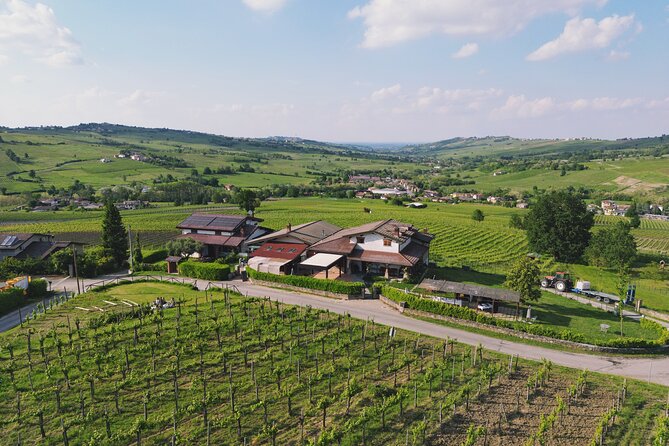 Visit winery and vineyards, tasting 4 wines with 3 matching dishes - Walking the Organic Vineyards Along Via di San Colombano