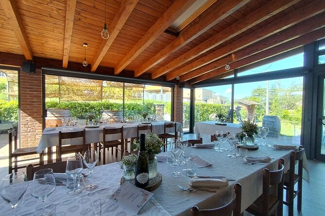 Visit winery and vineyards, tasting 4 wines with 3 matching dishes - The Personal Touch at Calatroni