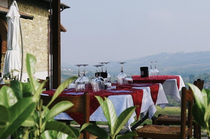 Visit winery and vineyards, tasting 4 wines with 3 matching dishes - Who Should Book This Winery Experience?