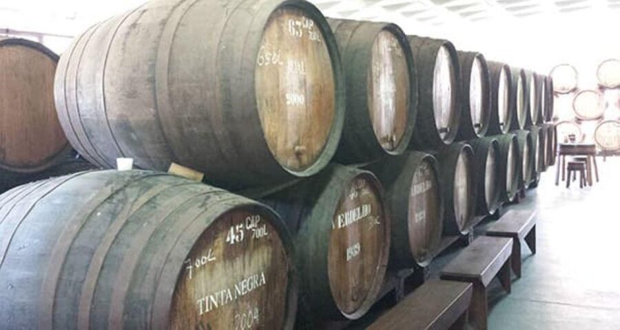 Visiting local Vineyard With Wine Tasting & Lunch included - Meeting the producer at a local vineyard