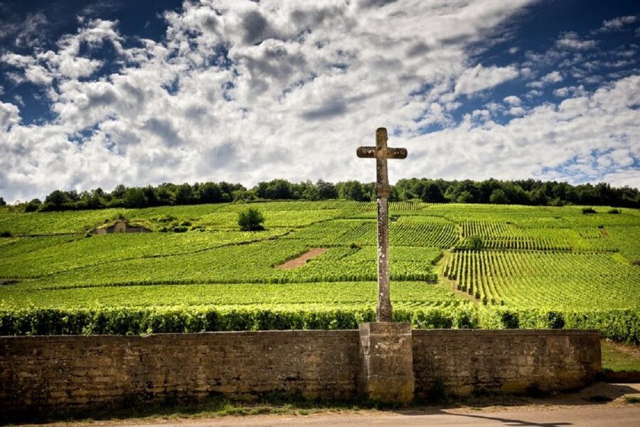 Vosne-Romanée: Private Vineyards Walking Tour with Tasting - Key points to know before you book