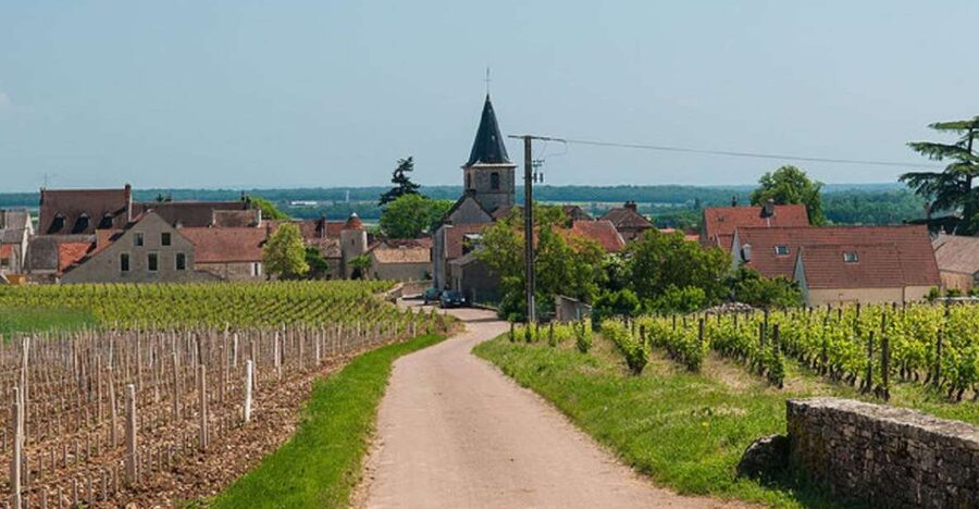 Vosne-Romanée: Private Vineyards Walking Tour with Tasting - Why Vosne-Romanée is worth seeing on foot