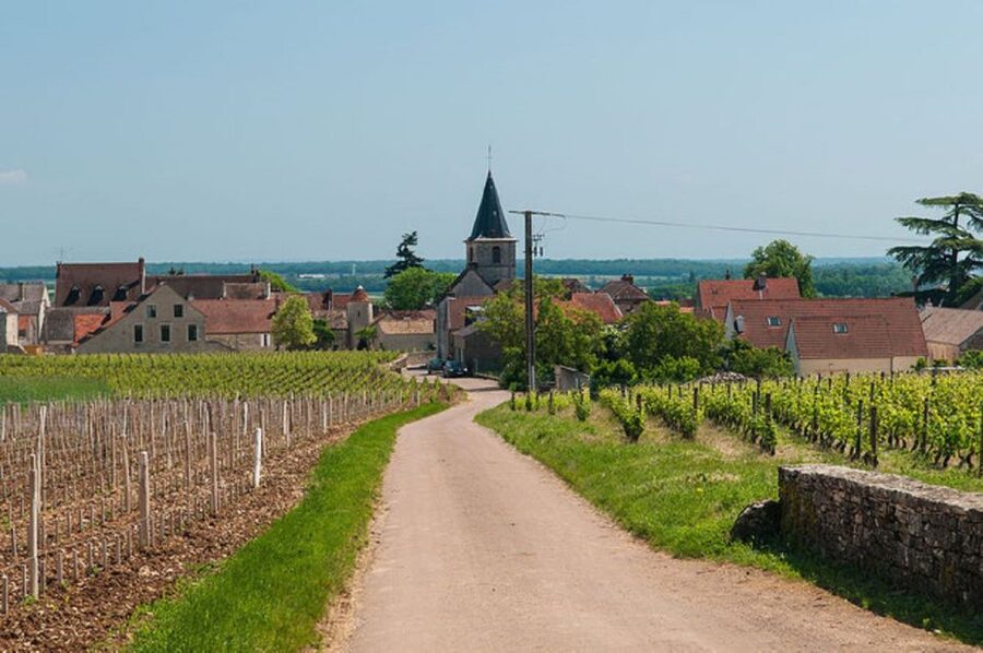 Vosne-Romanée: Private Vineyards Walking Tour with Tasting - Walking from the village into the vineyards
