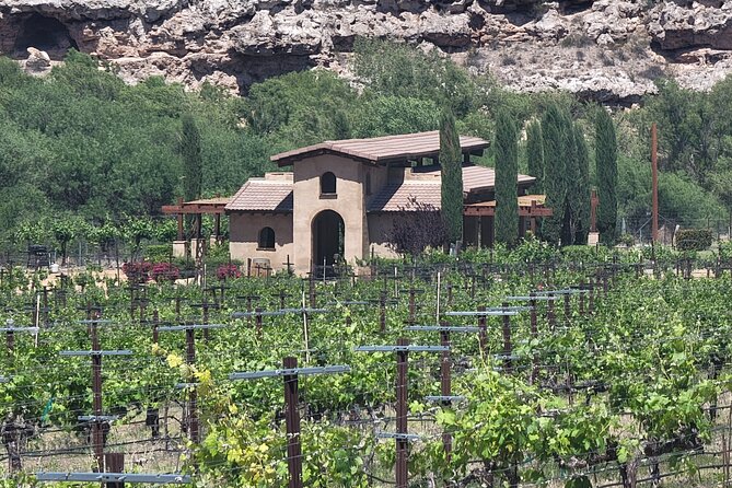 Voted Best in Sedona-Jerome & Vineyards, with Lunch & Tastings - Page Springs Cellars beside Oak Creek