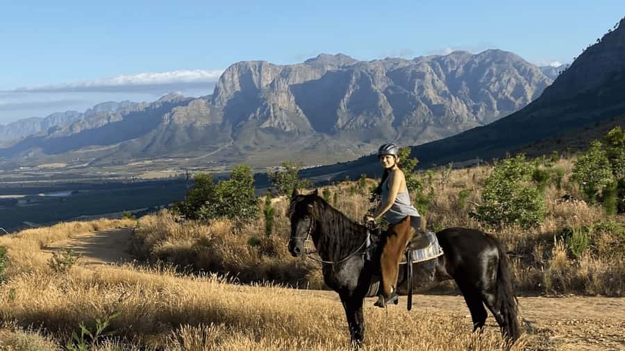 Vrede en Lust Wine Estate:1-Hour Horseback Riding Experience - Key points at a glance