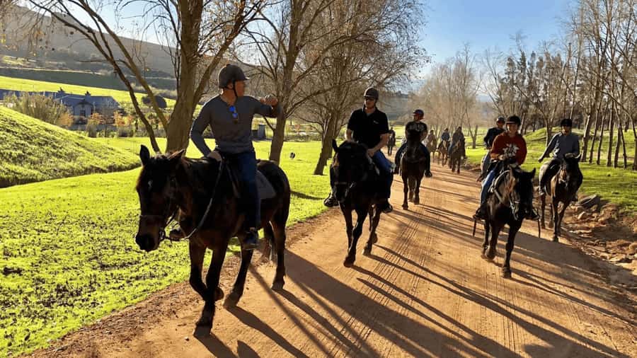 Vrede en Lust Wine Estate:1-Hour Horseback Riding Experience - Choosing the right horse for your ability