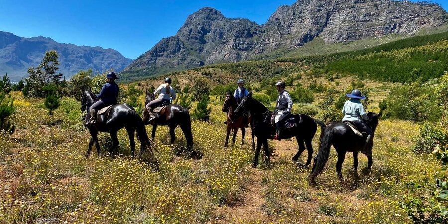 Vrede en Lust Wine Estate:1-Hour Horseback Riding Experience - A slow route with big Franschhoek views