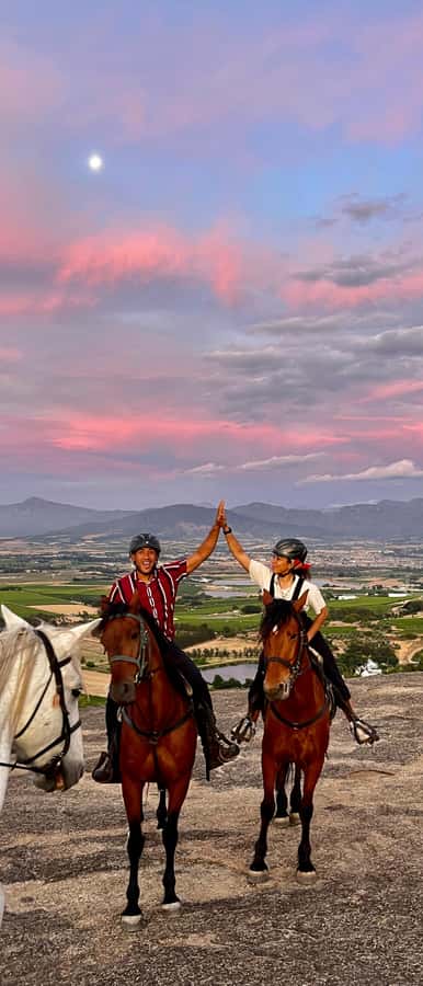 Vrede en Lust Wine Estate:1-Hour Horseback Riding Experience - What the one-hour schedule feels like