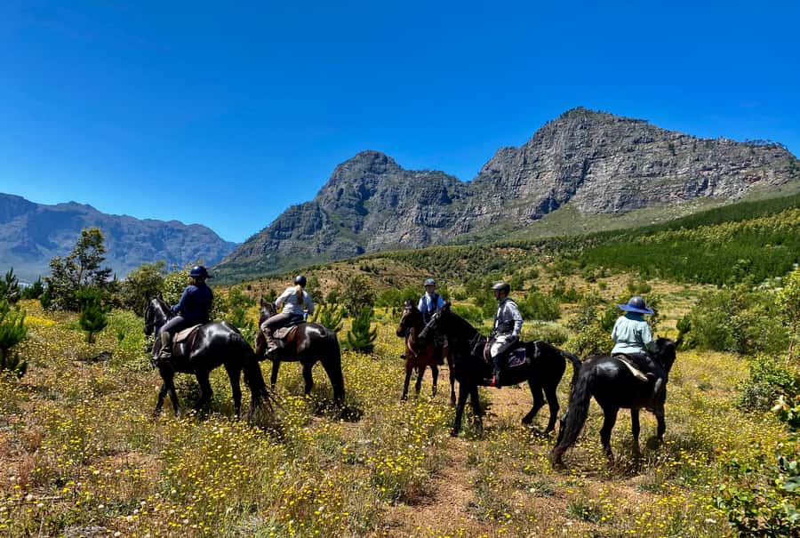 Vrede en Lust Wine Estate:1-Hour Horseback Riding Experience - Is $75 a fair price?