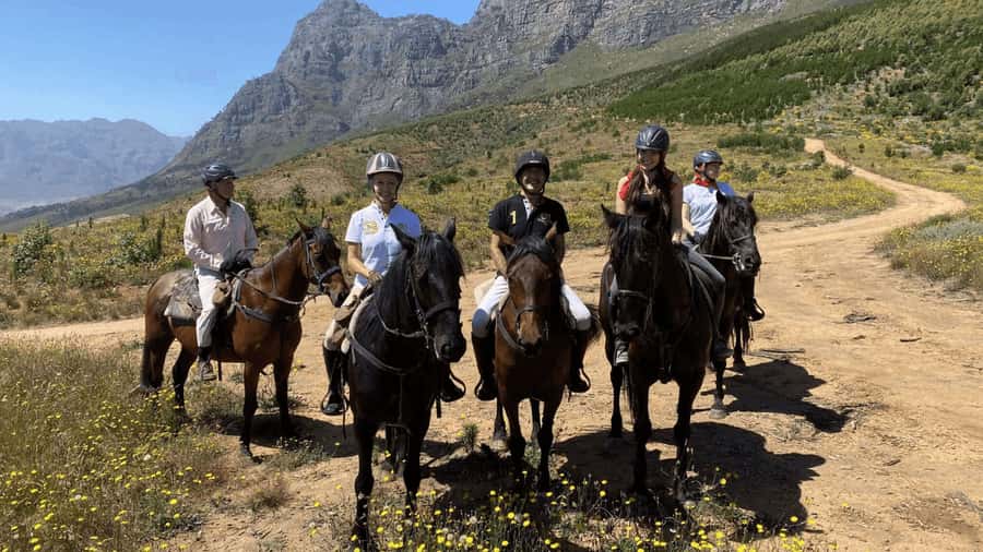 Vrede en Lust Wine Estate:1-Hour Horseback Riding Experience - Arrive early for the safety briefing