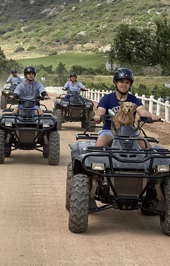 Vrede en Lust Wine Estate: 1H Quad Bike Trail - Is $71 good value for one hour?