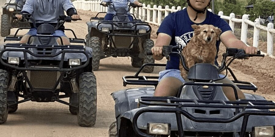 Vrede en Lust Wine Estate: 1H Quad Bike Trail - Should you book the Vrede en Lust quad trail?