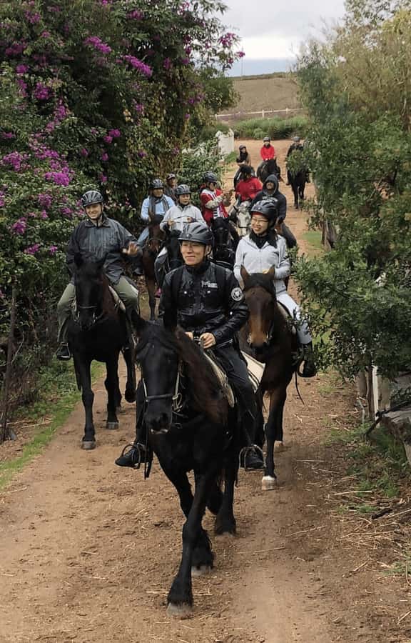 Vrede en Lust Wine Estate: 1h30m Horse Trail Ride - Key points at a glance