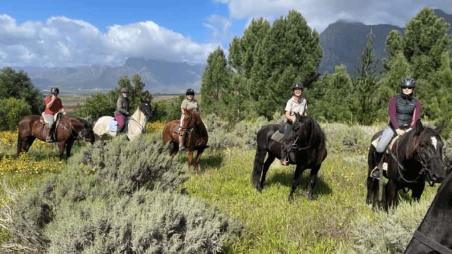 Vrede en Lust Wine Estate: 1h30m Horse Trail Ride - Beneath the oak trees and through the vines