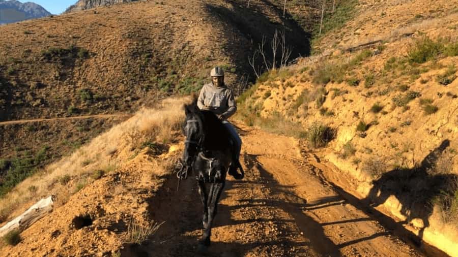 Vrede en Lust Wine Estate: 1h30m Horse Trail Ride - At the stables: horse matching and the safety briefing