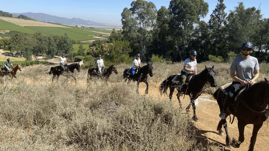 Vrede en Lust Wine Estate: 2H Horse Trail - Key points at a glance