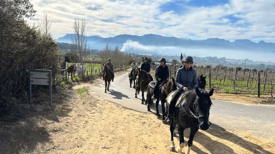 Vrede en Lust Wine Estate: 2H Horse Trail - Starting at Vrede en Lust Wine Estate