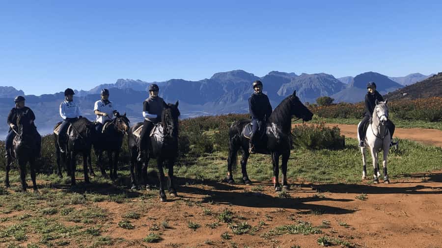 Vrede en Lust Wine Estate: 2H Horse Trail - Riding through vineyards and valley views
