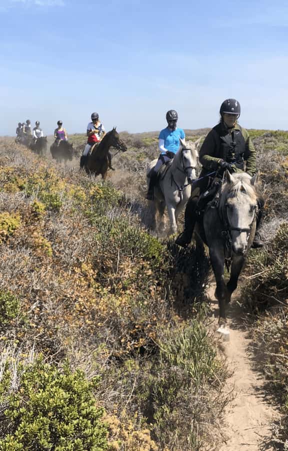 Vrede en Lust Wine Estate: 2H Horse Trail - What the two hours feel like