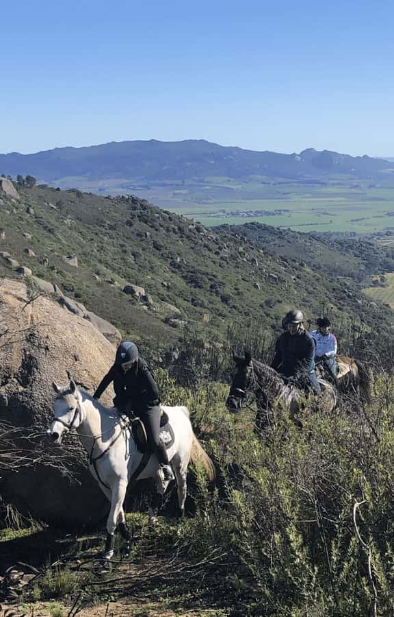 Vrede en Lust Wine Estate: 2H Horse Trail - Safety, age, and rider limits