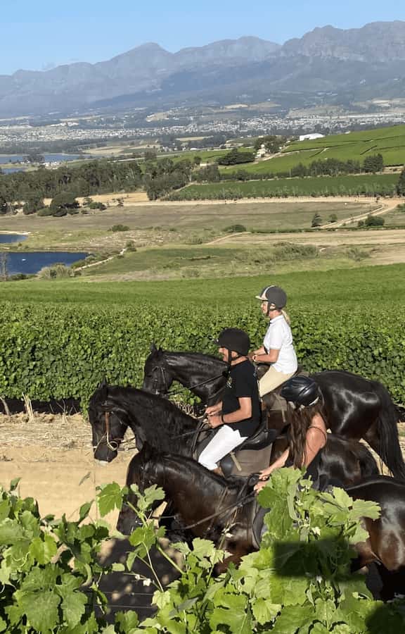 Vrede en Lust Wine Estate: 2H Horse Trail - Meeting your horse and guide